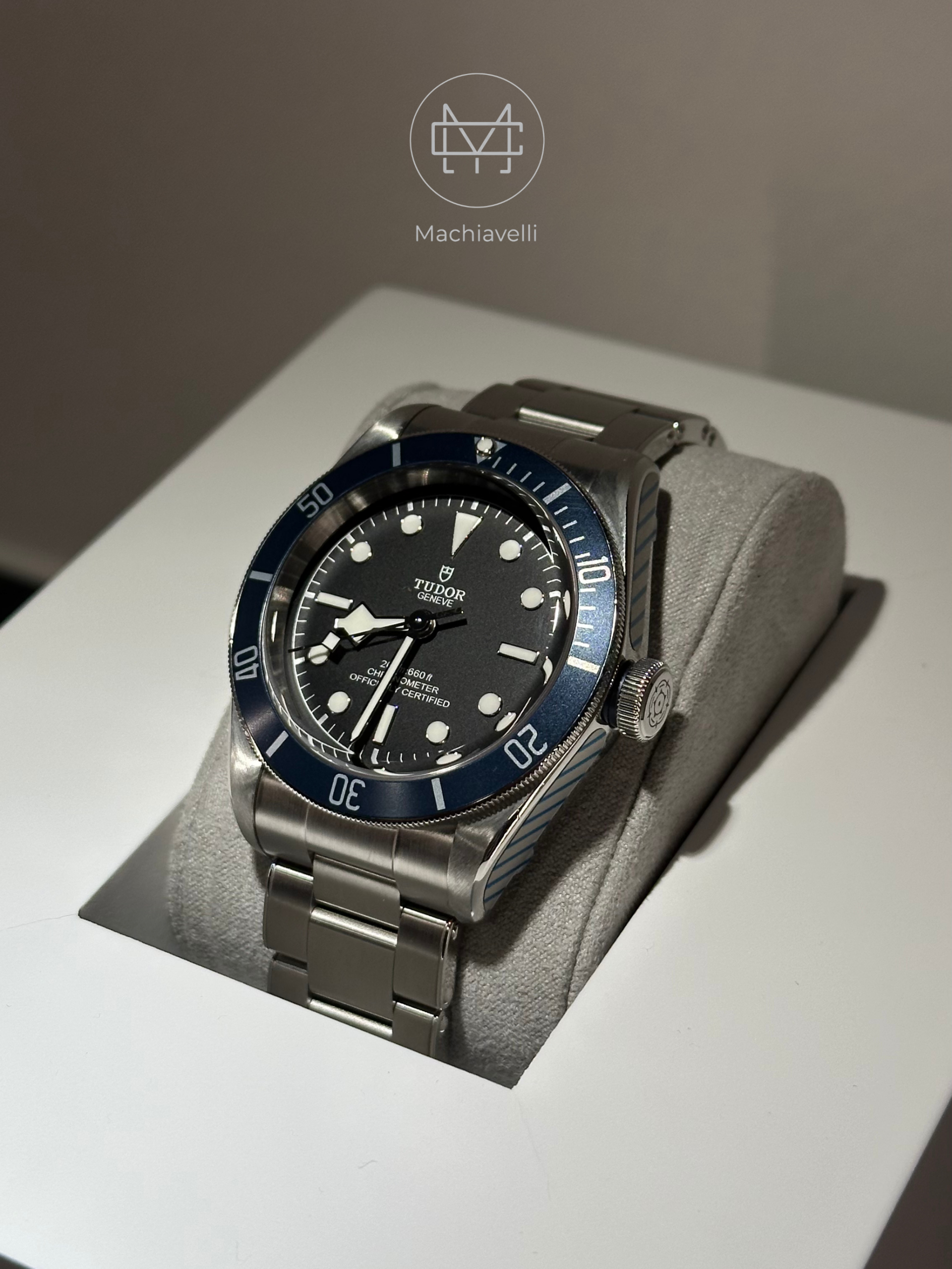 Tudor Black Bay