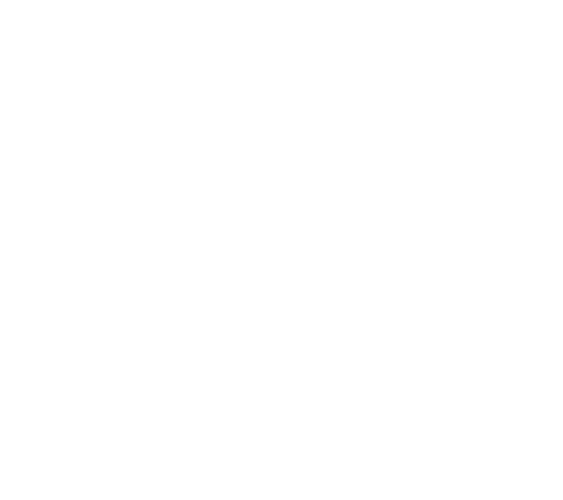 Machiavelli Watches