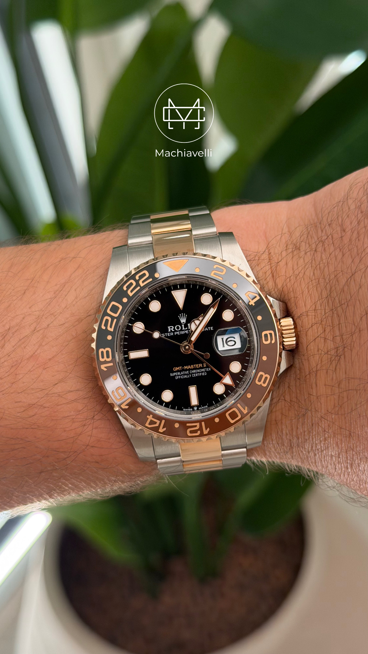Rolex GMT Master II Rootbeer