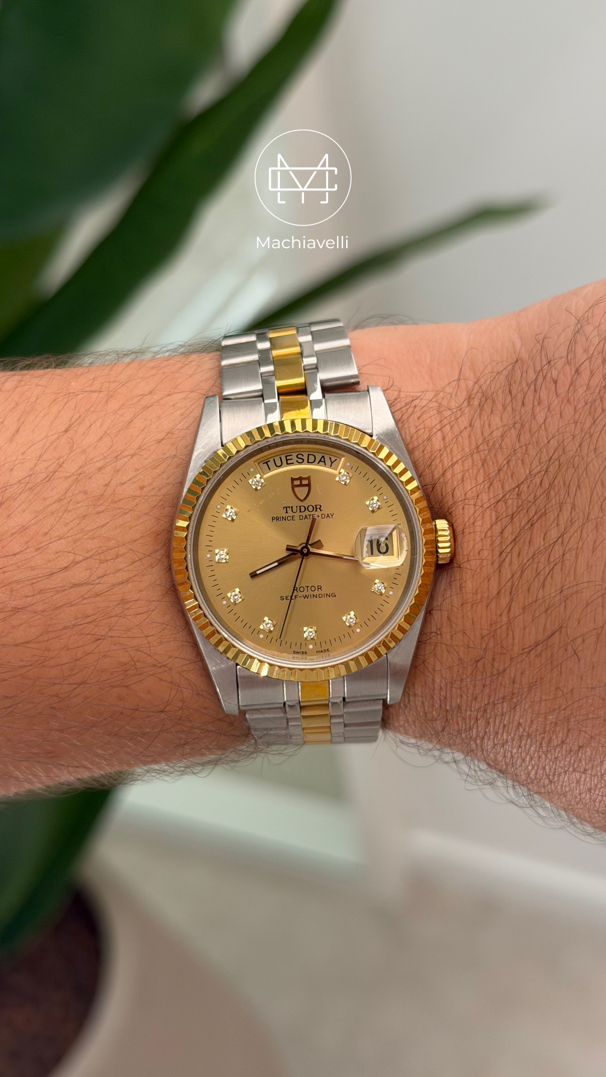 Tudor Date Day 36